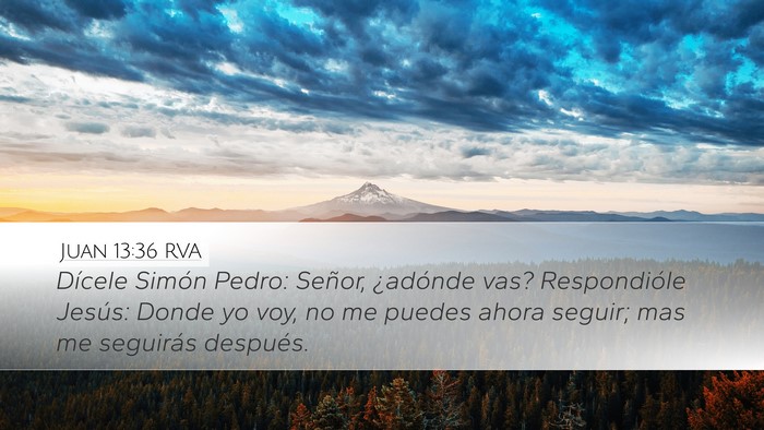 Juan 13:36 RVA Bible Verse Image