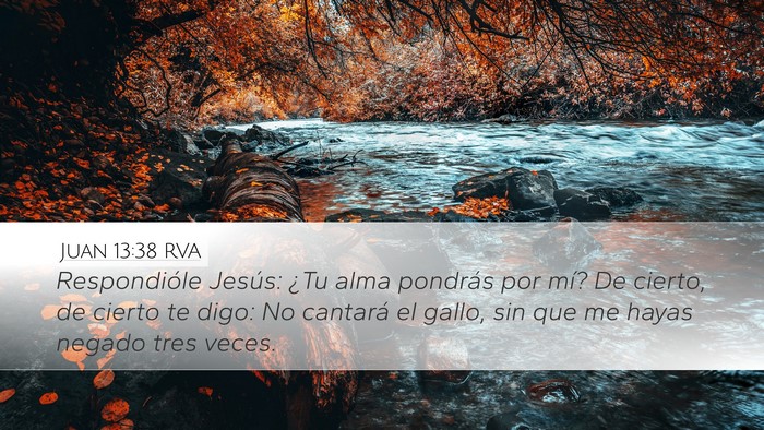 Juan 13:38 RVA Bible Verse Image