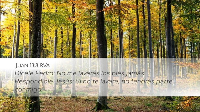 Juan 13:8 RVA Bible Verse Image