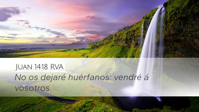 Juan 14:18 RVA Bible Verse Image