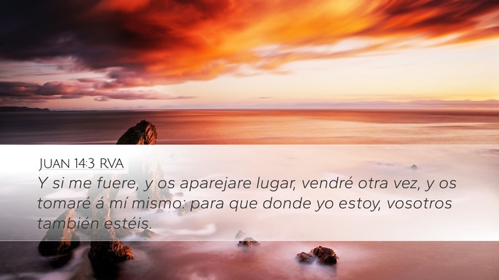 Juan 14:3 RVA Bible Verse Image