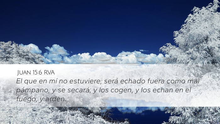 Juan 15:6 RVA Bible Verse Image