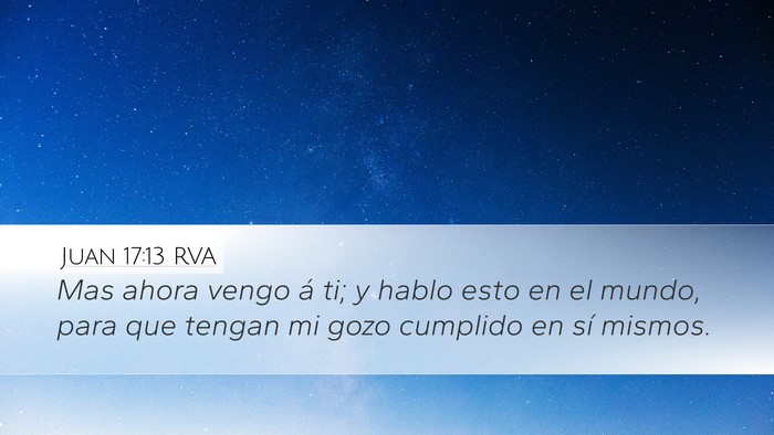 Juan 17:13 RVA Bible Verse Image