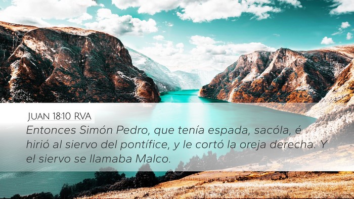 Juan 18:10 RVA Bible Verse Image