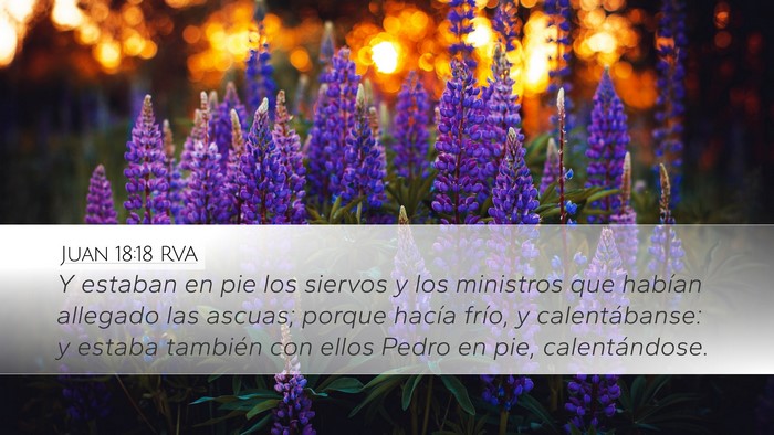 Juan 18:18 RVA Bible Verse Image