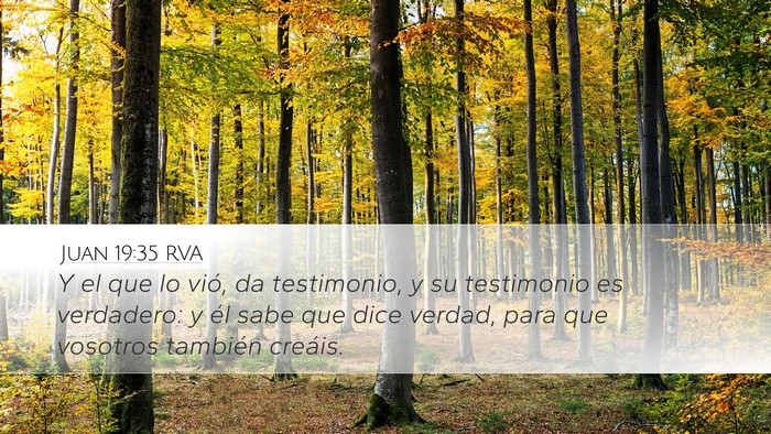 Juan 19:35 RVA Bible Verse Image