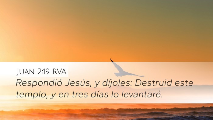Juan 2:19 RVA Bible Verse Image