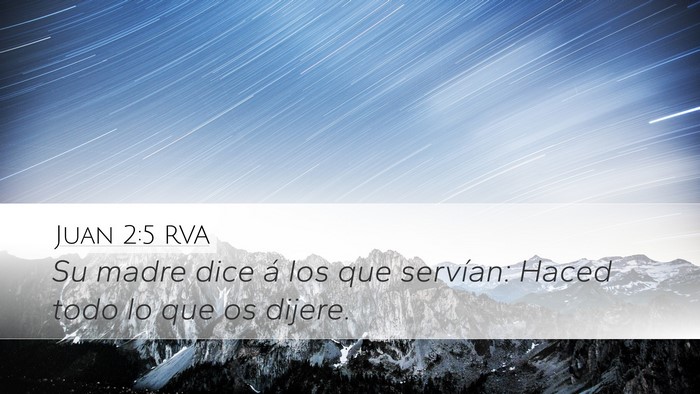 Juan 2:5 RVA Bible Verse Image