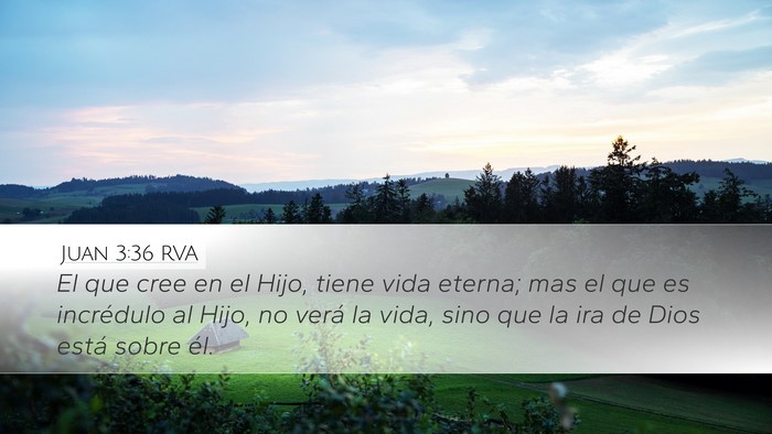 Juan 3:36 RVA Bible Verse Image