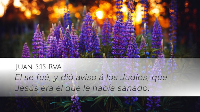 Juan 5:15 RVA Bible Verse Image