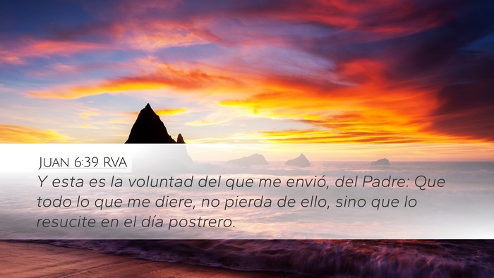 Juan 6:39 RVA Bible Verse Image