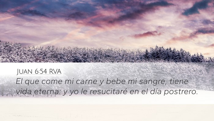 Juan 6:54 RVA Desktop Wallpaper - El que come mi carne y bebe mi sangre, tiene vida - Desktop Bible Verse Wallpaper