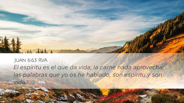 Juan 6:63 RVA Bible Verse Image