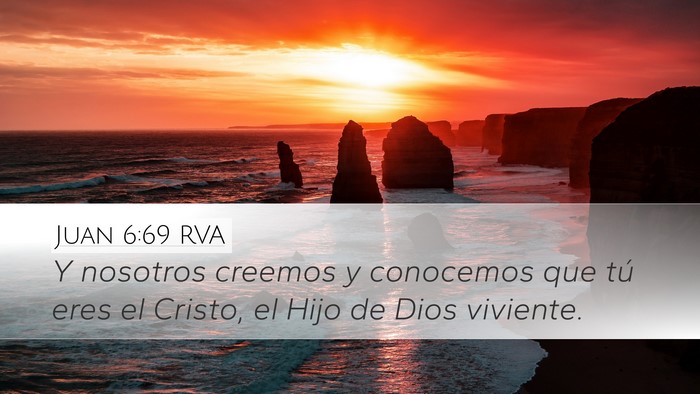 Juan 6:69 RVA Bible Verse Image