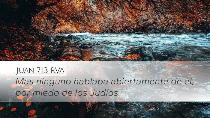 Juan 7:13 RVA Bible Verse Image