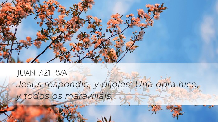 Juan 7:21 RVA Bible Verse Image