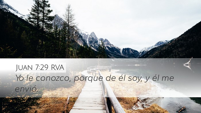 Juan 7:29 RVA Bible Verse Image