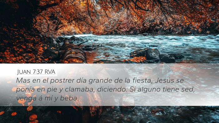 Juan 7:37 RVA Bible Verse Image
