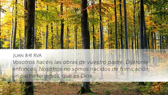 Juan 8:41 RVA Bible Verse Image