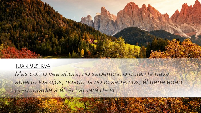 Juan 9:21 RVA Bible Verse Image