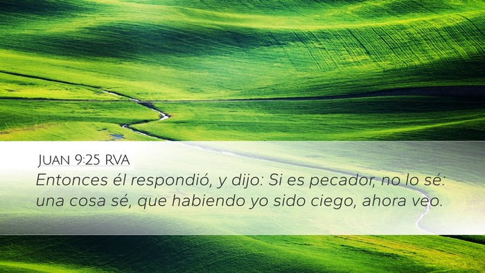 Juan 9:25 RVA Bible Verse Image