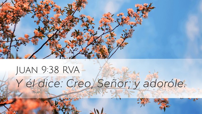 Juan 9:38 RVA Bible Verse Image