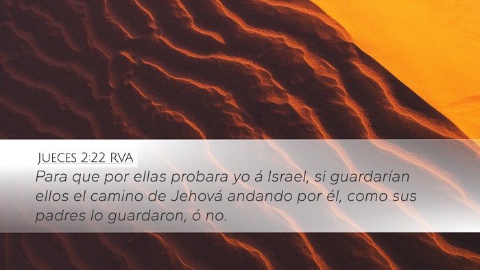 Jueces 2:22 RVA Bible Verse Image