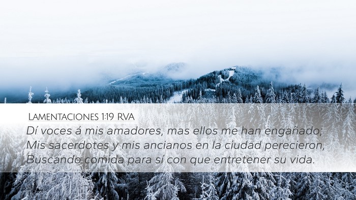 Lamentaciones 1:19 RVA Bible Verse Image
