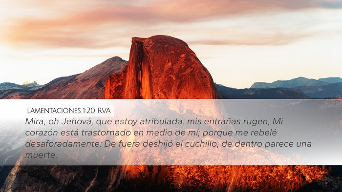 Lamentaciones 1:20 RVA Bible Verse Image