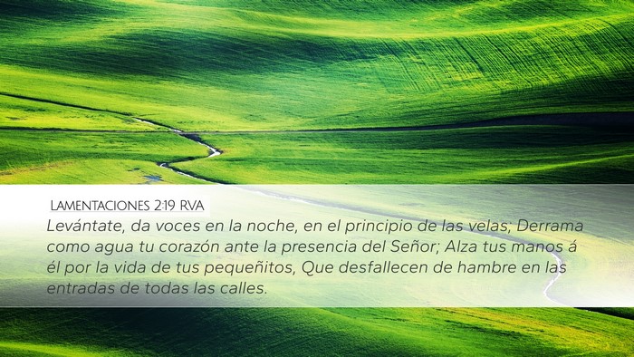 Lamentaciones 2:19 RVA Bible Verse Image