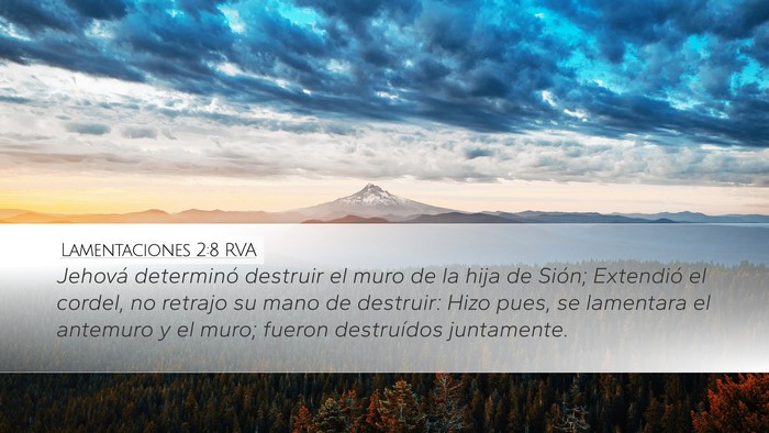 Lamentaciones 2:8 RVA Bible Verse Image