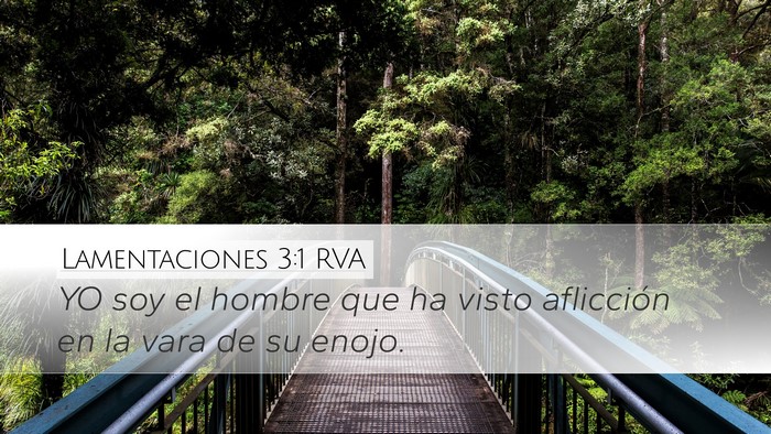 Lamentaciones 3:1 RVA Desktop Wallpaper - YO soy el hombre que ha visto aflicción en la - Desktop Bible Verse Wallpaper