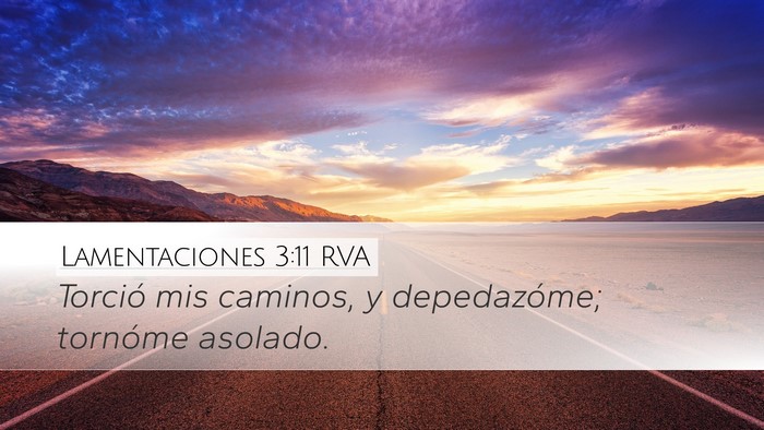 Lamentaciones 3:11 RVA Bible Verse Image