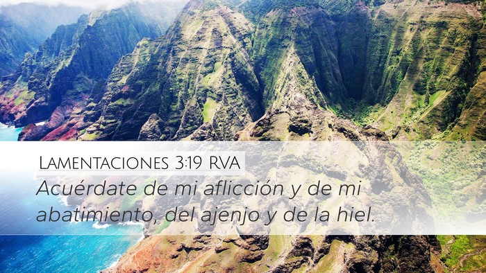 Lamentaciones 3:19 RVA Bible Verse Image