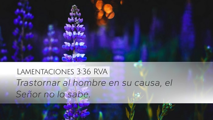 Lamentaciones 3:36 RVA Desktop Wallpaper - Trastornar al hombre en su causa, el Señor no lo - Desktop Bible Verse Wallpaper