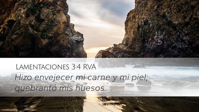 Lamentaciones 3:4 RVA Bible Verse Image
