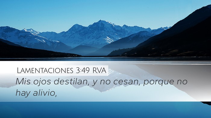 Lamentaciones 3:49 RVA Desktop Wallpaper - Mis ojos destilan, y no cesan, porque no hay - Desktop Bible Verse Wallpaper