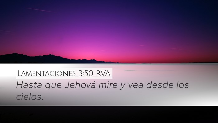 Lamentaciones 3:50 RVA Bible Verse Image