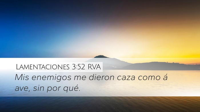 Lamentaciones 3:52 RVA Bible Verse Image
