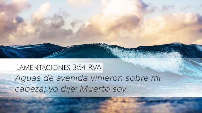 Lamentaciones 3:54 RVA Bible Verse Image
