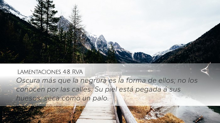 Lamentaciones 4:8 RVA Bible Verse Image