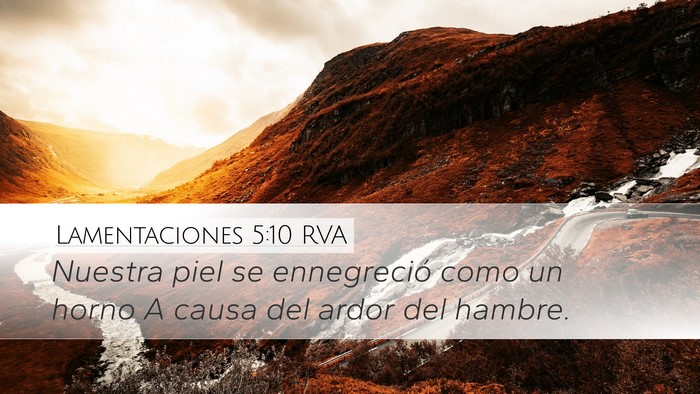 Lamentaciones 5:10 RVA Bible Verse Image
