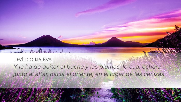 Levítico 1:16 RVA Desktop Wallpaper - Y le ha de quitar el buche y las plumas, lo cual - Desktop Bible Verse Wallpaper