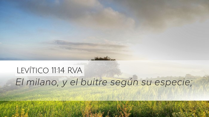 Levítico 11:14 RVA Desktop Wallpaper - El milano, y el buitre según su - Desktop Bible Verse Wallpaper