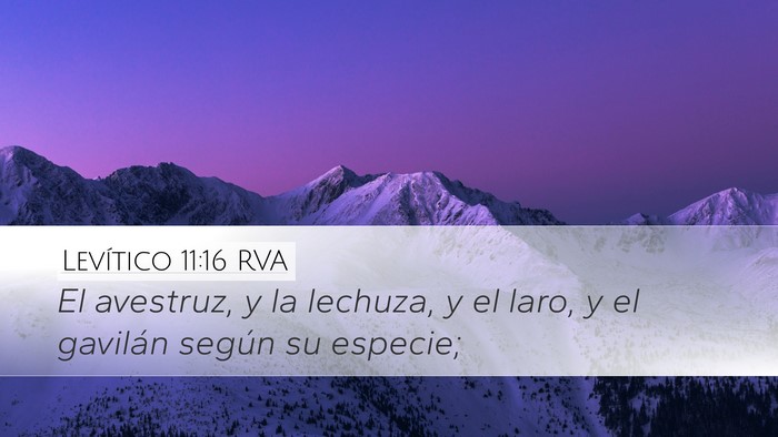 Levítico 11:16 RVA Desktop Wallpaper - El avestruz, y la lechuza, y el laro, y el - Desktop Bible Verse Wallpaper