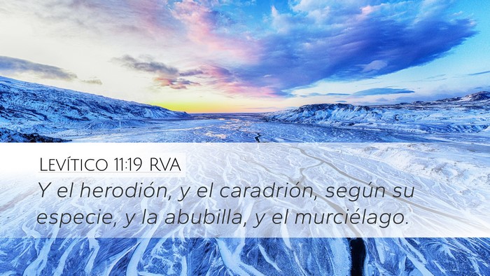 Levítico 11:19 RVA Bible Verse Image