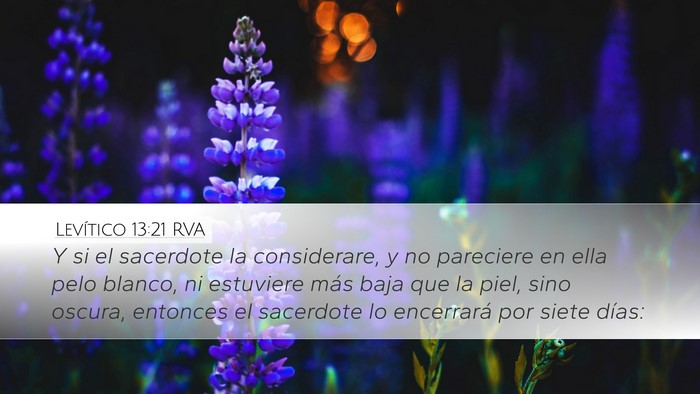 Levítico 13:21 RVA Desktop Wallpaper - Y si el sacerdote la considerare, y no pareciere - Desktop Bible Verse Wallpaper