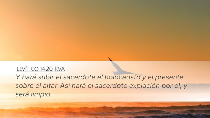 Levítico 14:20 RVA Bible Verse Image