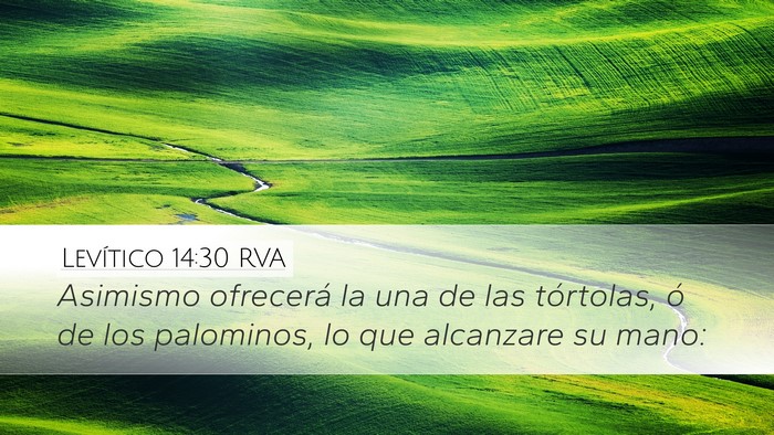 Levítico 14:30 RVA Bible Verse Image