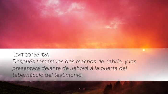 Levítico 16:7 RVA Desktop Wallpaper - Después tomará los dos machos de cabrío, y los - Desktop Bible Verse Wallpaper